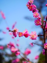 AB0E557D-FDF3-4C73-A8CF-76A573A79135/L0/001