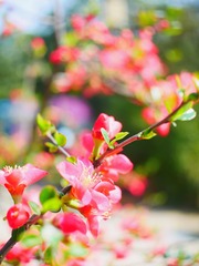 293BE0F8-D53C-458C-BE2A-48B3C07E4583/L0/001