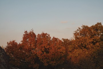 EF0ABBA5-677B-40D9-8D1A-76FBC845CF5C/L0/001