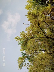 E4AA792B-C47E-4890-A9C0-138F3D7810BC/L0/001