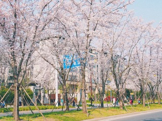 1260430