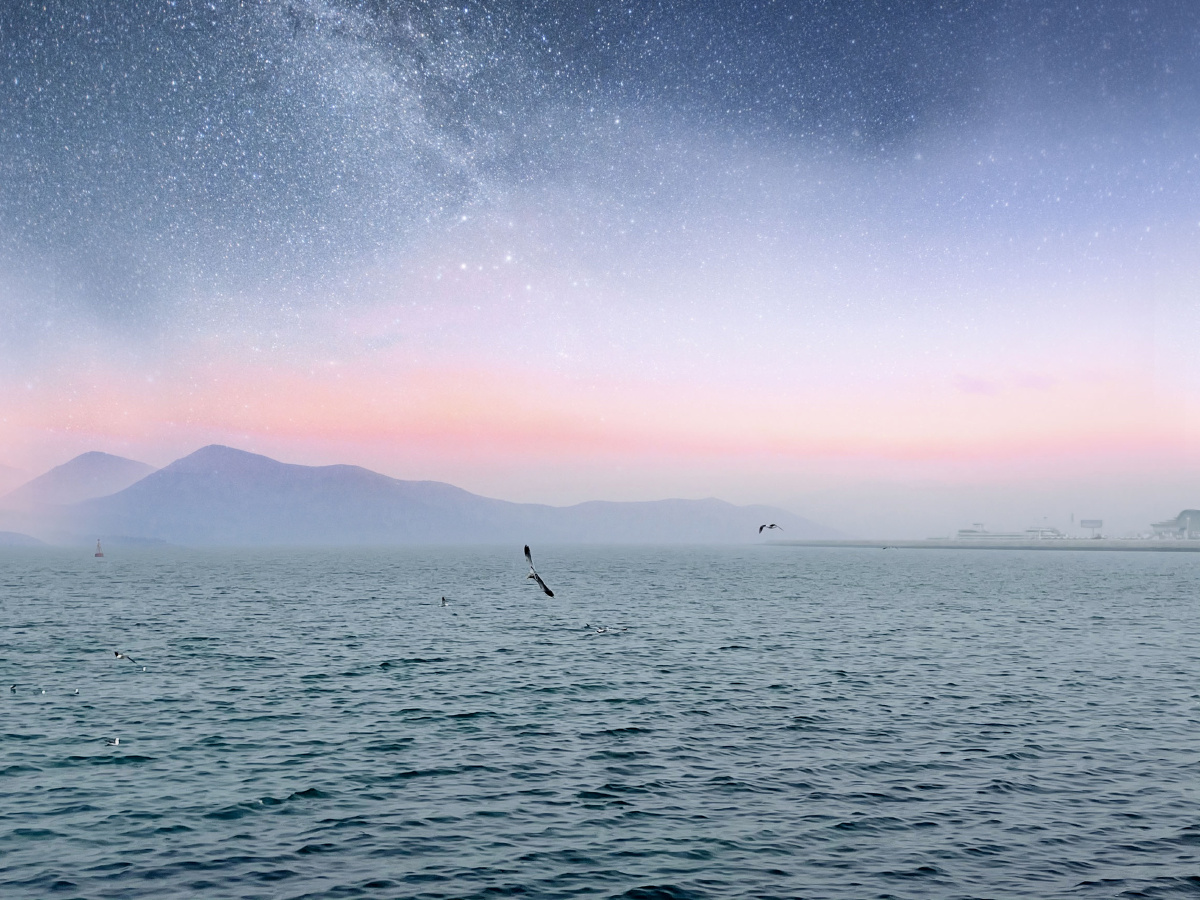 海鸥一望无际的大海