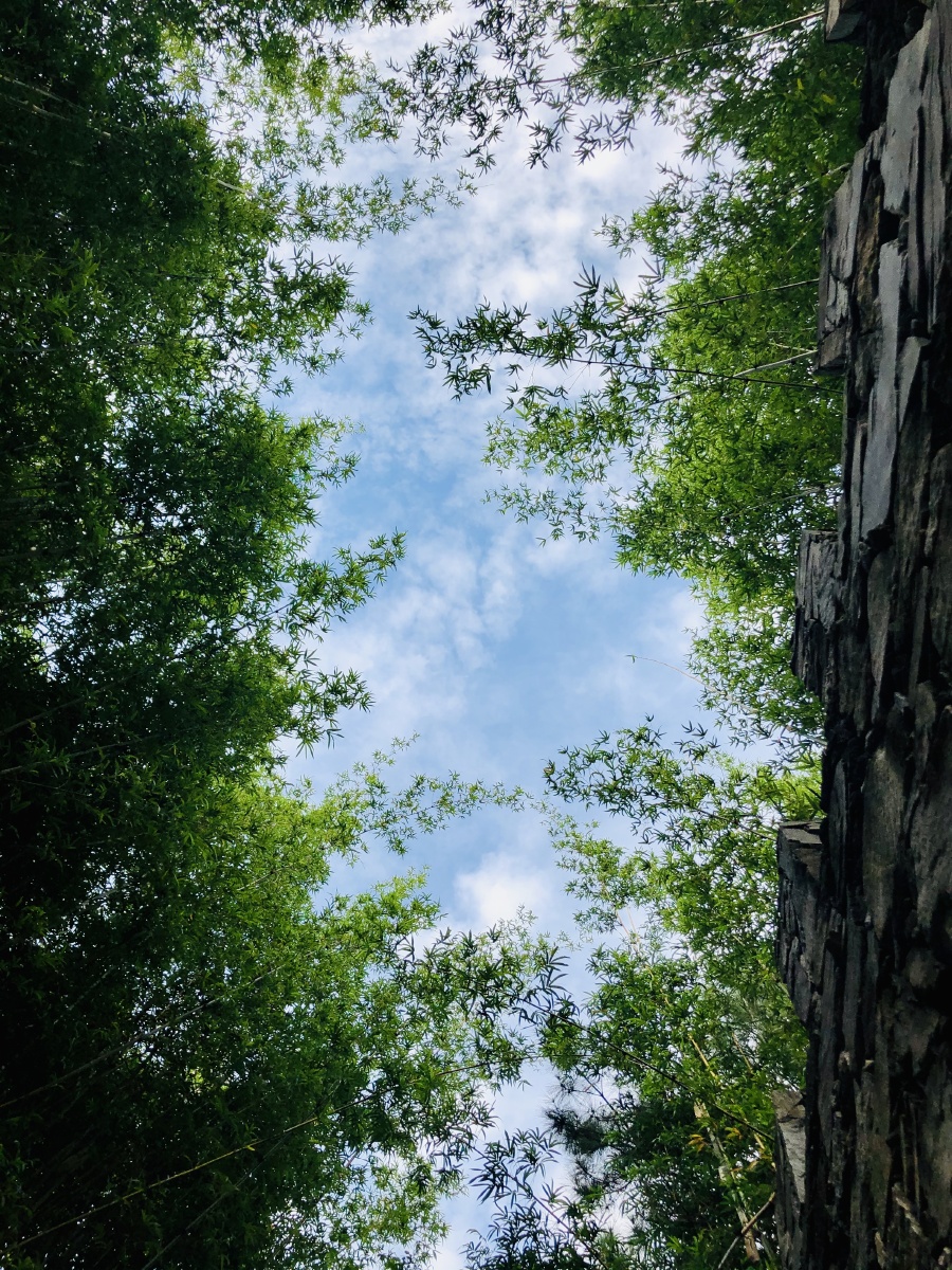 一线天晴空碧绿