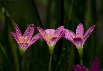 IMG_5640