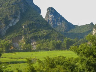 IMG_0007