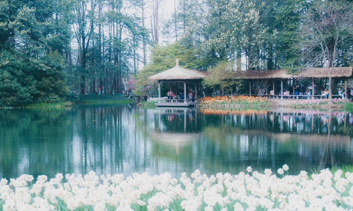 杭州太子湾公园一景