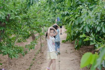 ECC6565D-9B85-44B9-8C58-1BD50CE75C0F/L0/001
