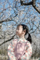 D6CB571B-6360-4DA5-BF25-AE478A6F71E7/L0/001