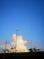 2559470