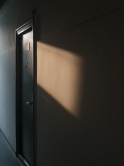 2554628