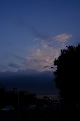 837058A4-37C3-435B-97D8-31B11BCFF55B/L0/001