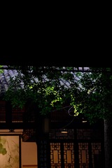 B96A8E73-5239-439D-8A19-1FCB4742557B/L0/001