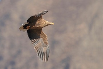 C175AFAB-BF98-46E9-B889-1D0F4E3FE90C/L0/001