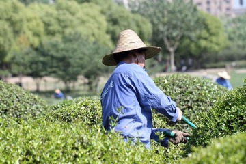 剪刀钳爱得伯伯