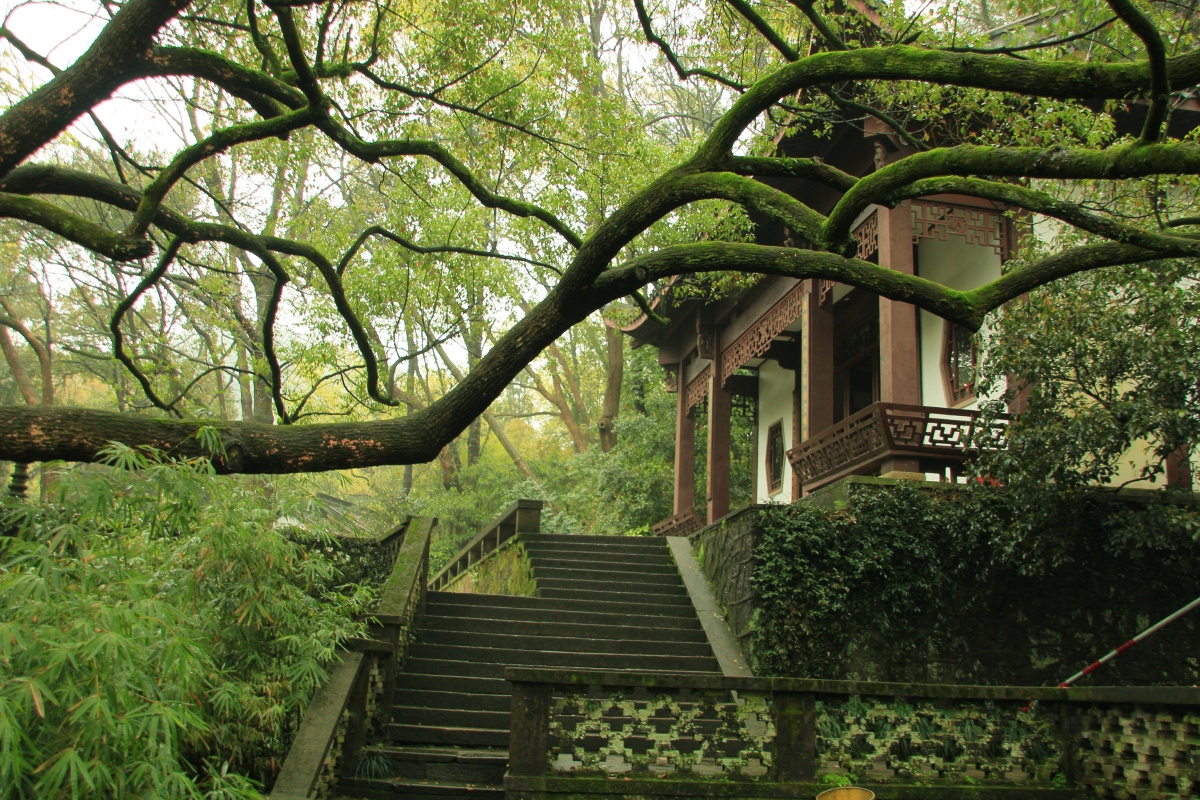 雨中的杭州虎跑公园