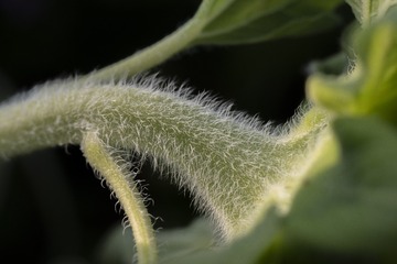 130541