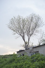 124357