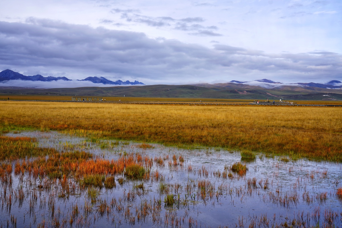九寨沟若尔盖草原美景