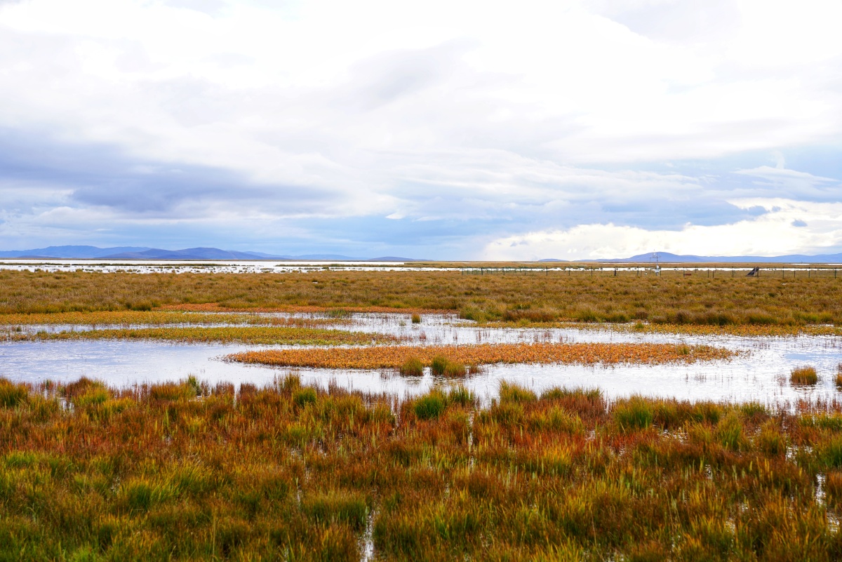 九寨沟若尔盖草原美景