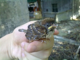 20110728139.jpg