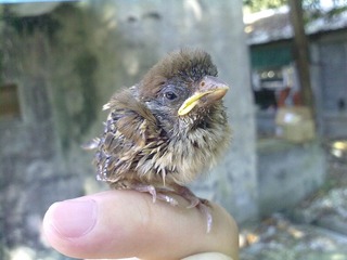 20110728140.jpg