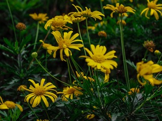 800615F0-D875-44FD-847C-DF4D4039018F/L0/001