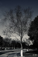 CA04E60F-21B2-45F4-94CF-9C7143AFBD04/L0/001