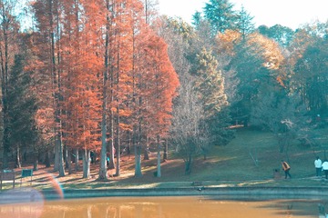 1042120