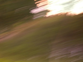 1131850