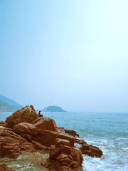 IMG_8910-1