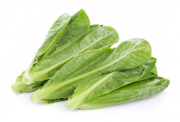 1725905