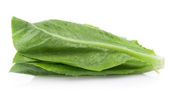1726094