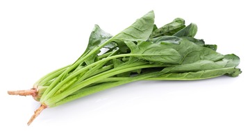 1725372