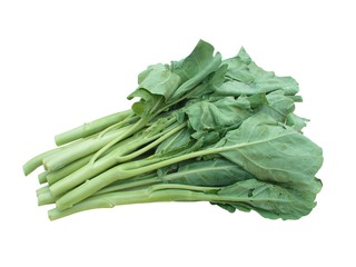 1725157