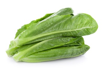 1725904