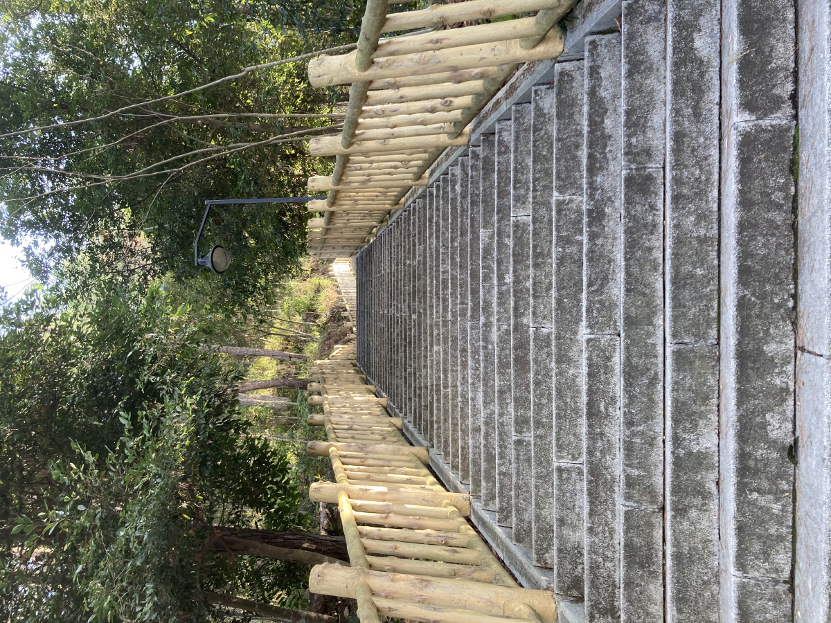 台阶爬山山风景