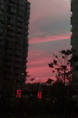 4271169