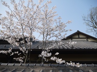 0F577E0E-3431-4698-8E46-3EEBF9277B58/L0/001