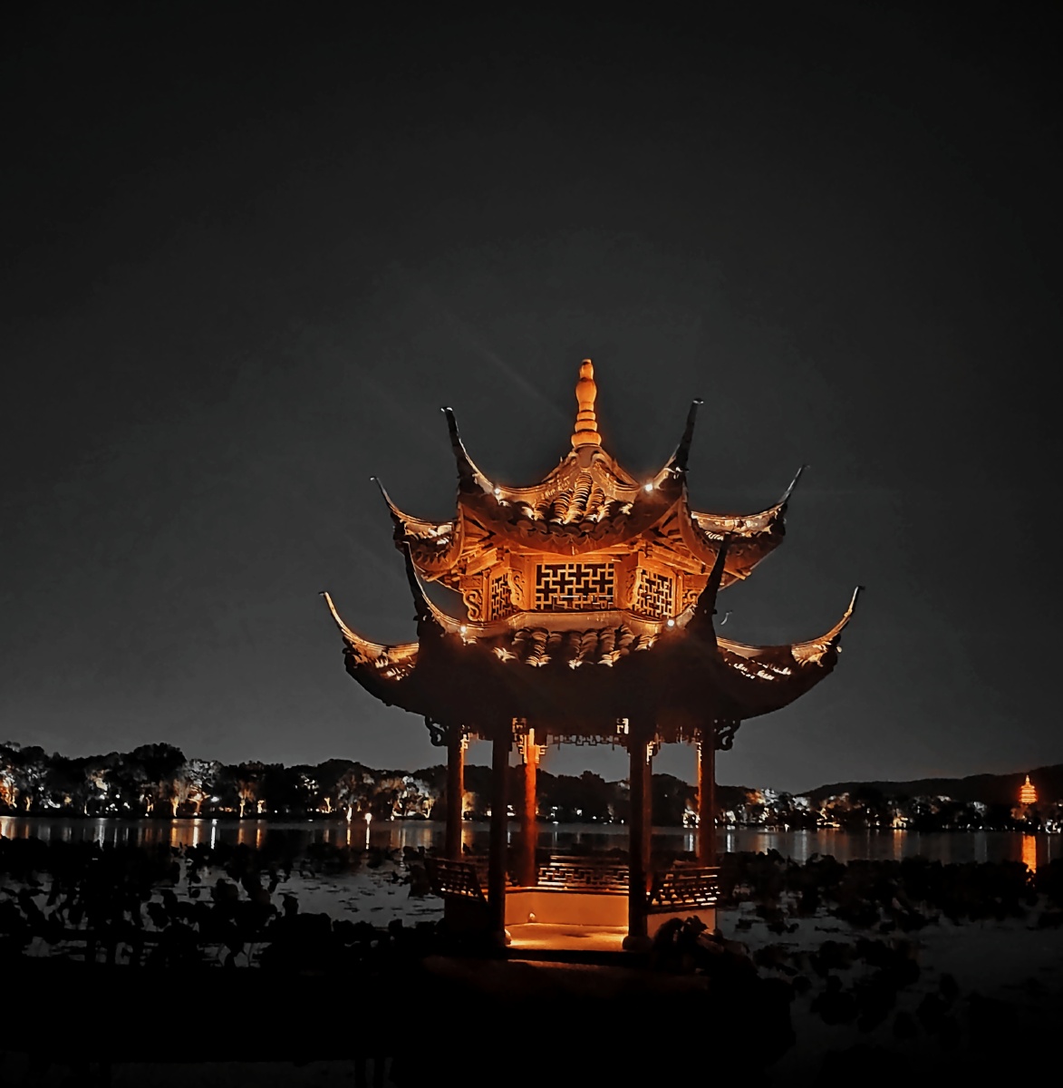 西湖夜景荷花围绕的亭子