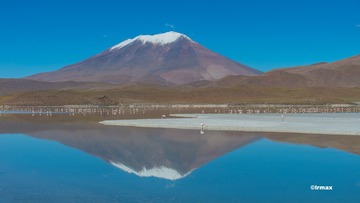 DSC_8445的
