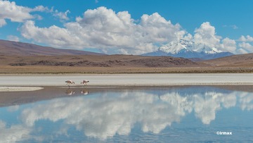 DSC_8559的