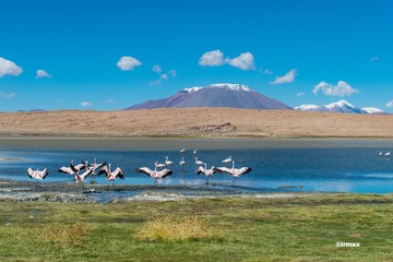 DSC_8623的