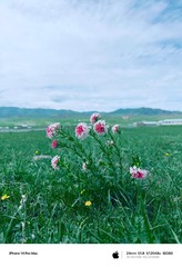 78C60C07-D226-42CD-ADF1-8FCFA2683603/L0/001