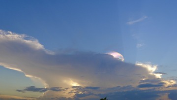 92E2253A-8255-476B-BD72-3DBE59FFDFB0/L0/001