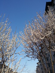183C86AF-9BC9-4AE2-A99B-A35D10BF5AB0/L0/001