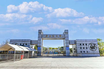 羽扇豆蓝-唐山动物园