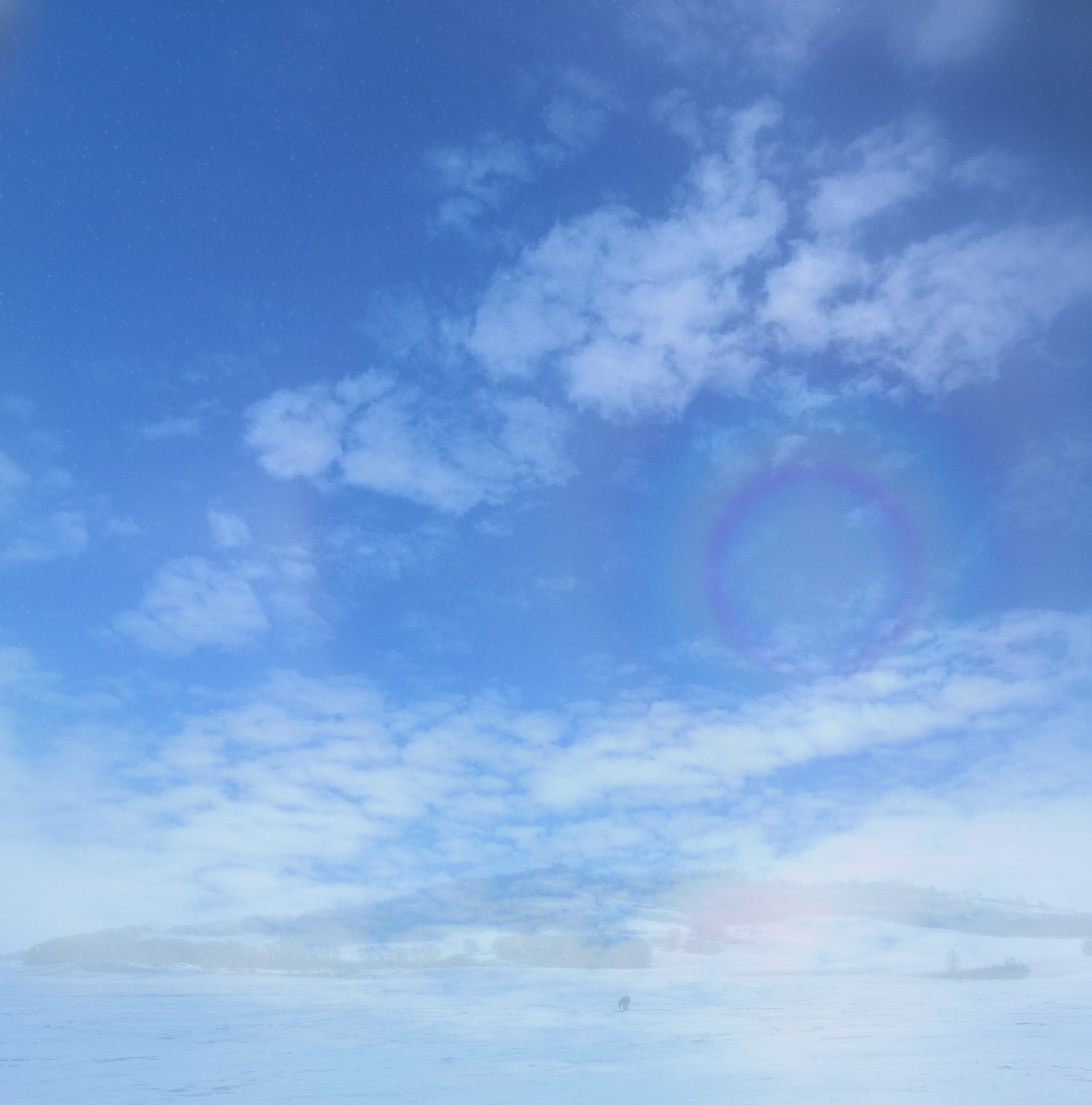 美丽的天气美好的心情