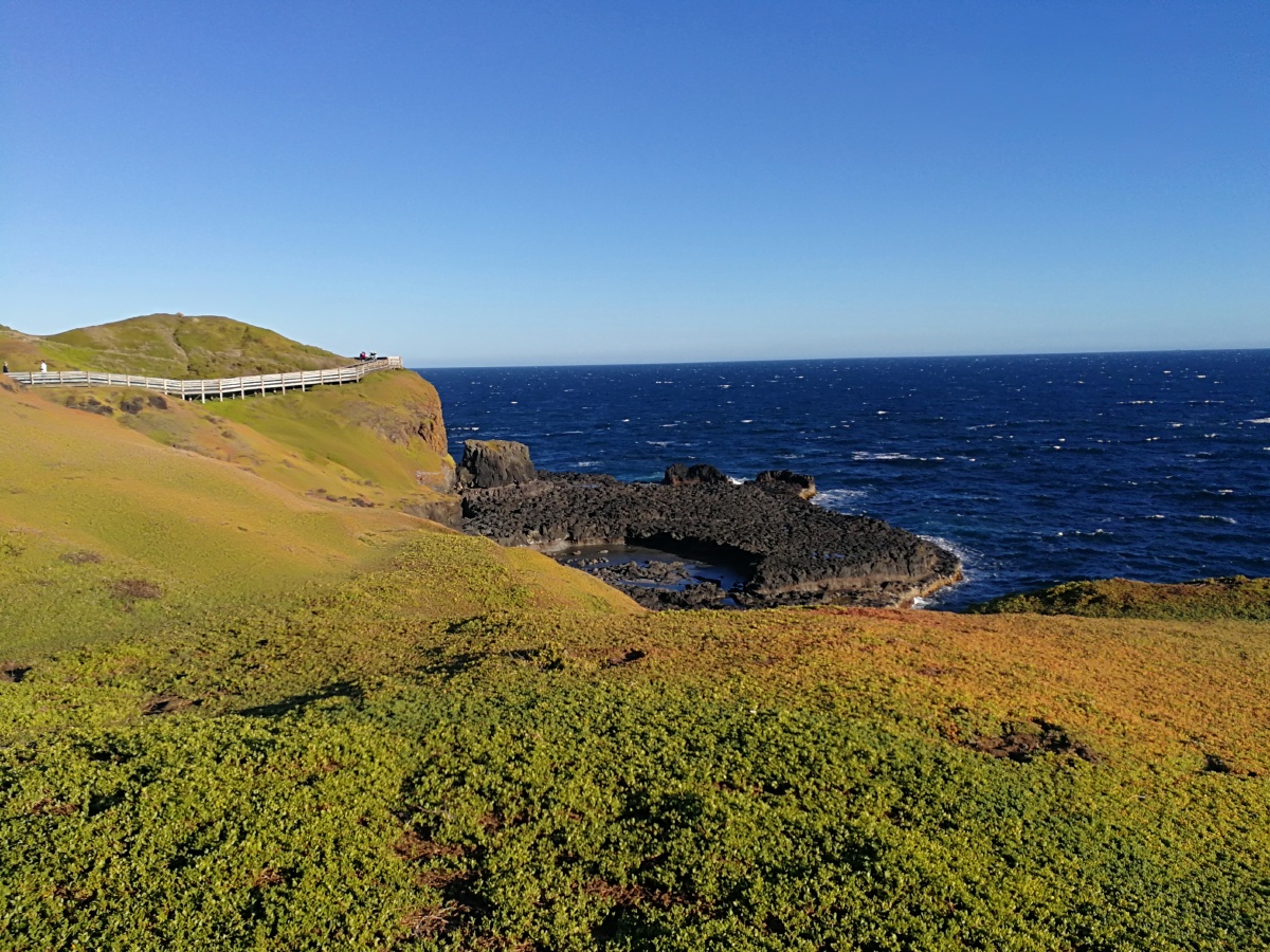 澳洲-企鹅岛-原图