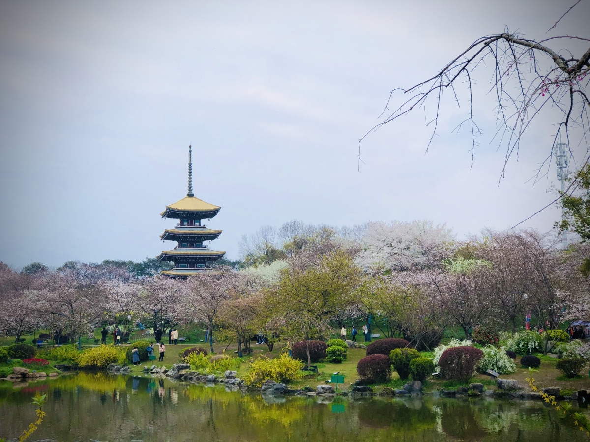 东湖磨山 - murpher - 图虫