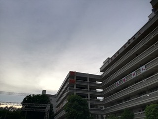 482